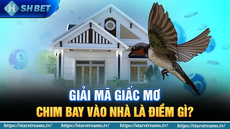 Giải Mã Giấc Mơ Chim Bay Vào Nhà Là Điềm Gì? 4 Mơ chim bay vào nhà