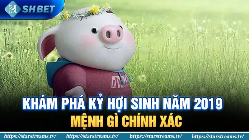 Khám Phá Kỷ Hợi Sinh Năm 2019 Mệnh Gì Chính Xác 3 2019 mệnh gì