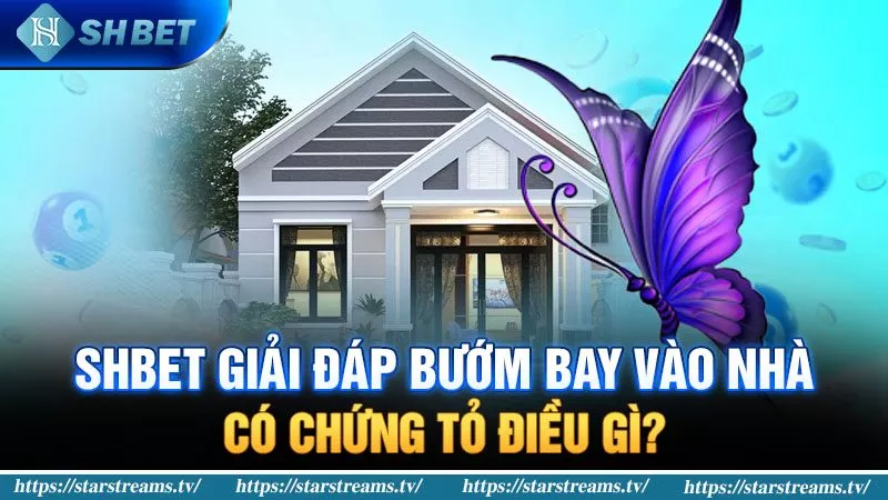SHBET giải đáp bướm bay vào nhà có chứng tỏ điều gì? 2 bướm bay vào nhà